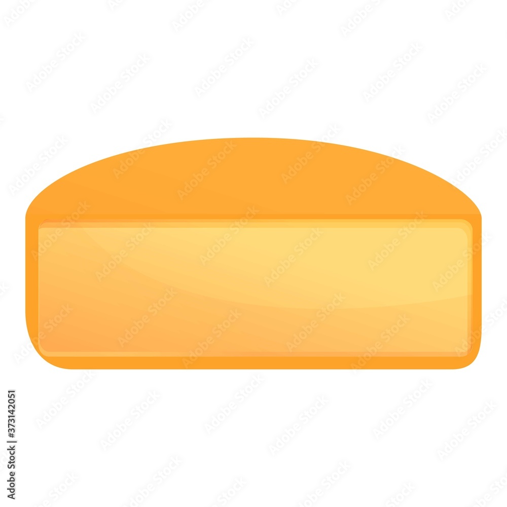 Milk cheese icon. Cartoon of milk cheese vector icon for web design isolated on white background Milk cheese icon. Cartoon of milk cheese vector icon for web design isolated on white background