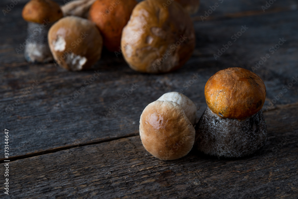 Seasonal forest mushrooms on a rustic wooden background, space for text Seasonal forest mushrooms on a rustic wooden background, space for text