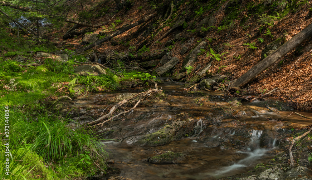 Small waterfall on Divoky creek near Kouty nad Desnou village in summer day Small waterfall on Divoky creek near Kouty nad Desnou village in summer day
