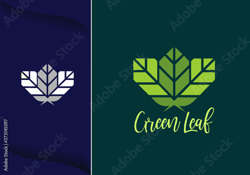 Creative leaf logo design element