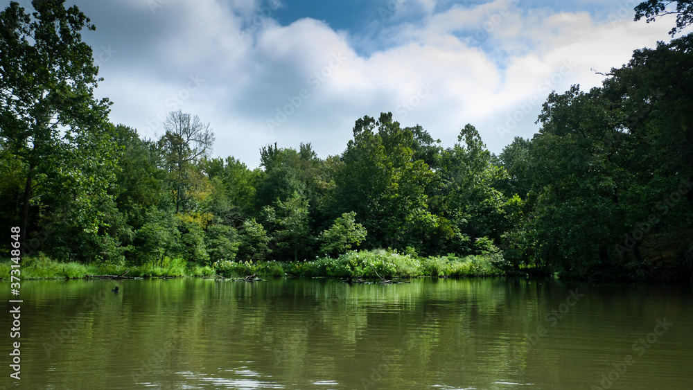 Cove on the river with wild hibiscus and fair weather clouds