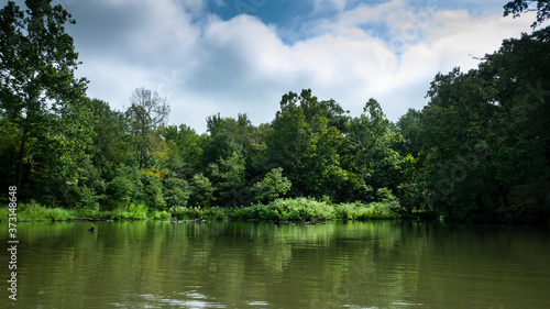 Cove on the river with wild hibiscus and fair weather clouds