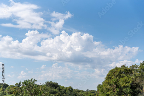Blue skies and clouds at the edge of the Brazilian Atlantic Forest