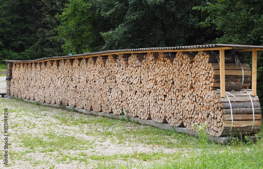 Obraz premium Witterungsschutz - Holzscheite lagern zum Trocknen im Wald