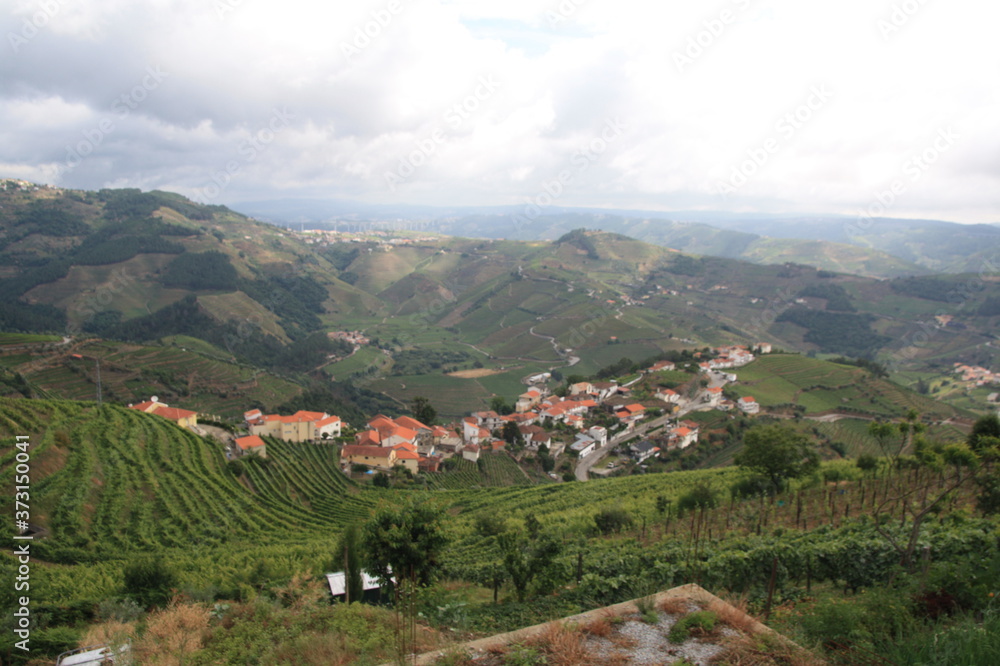 Landscape of vineyards grape in Douro valley, Portugal