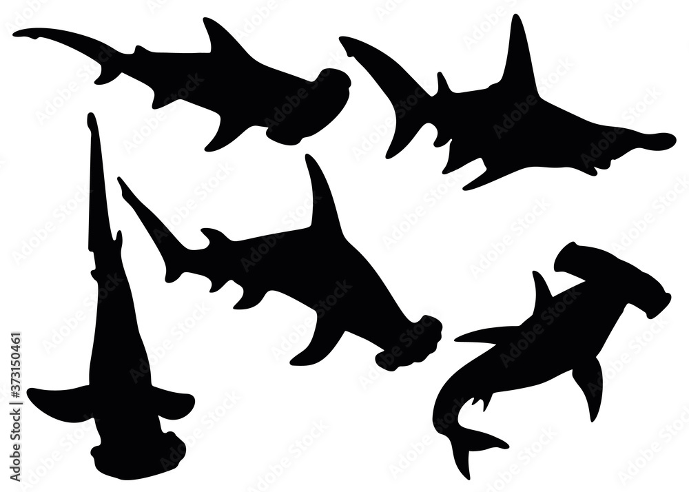 Hammerhead sharks in the set. Predatory fish. - obrazy, fototapety, plakaty 