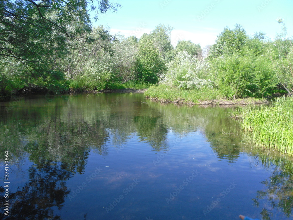 lake in the park