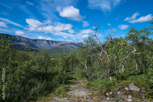 View of the mountain valley of Lake Maly Vudyavr from the forest in the foreground is a withered tree. photo