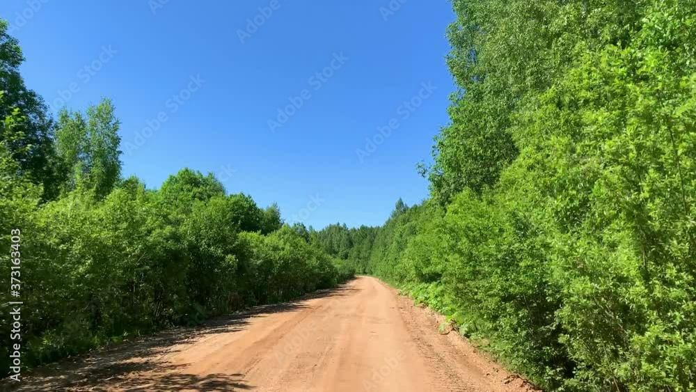 Driving on empty country road passing through a mixed forest with pines and treeson a sunny summer day Driving on empty country road passing through a mixed forest with pines and treeson a sunny summer day