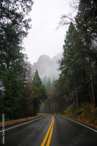 fall in Yosemite National Park