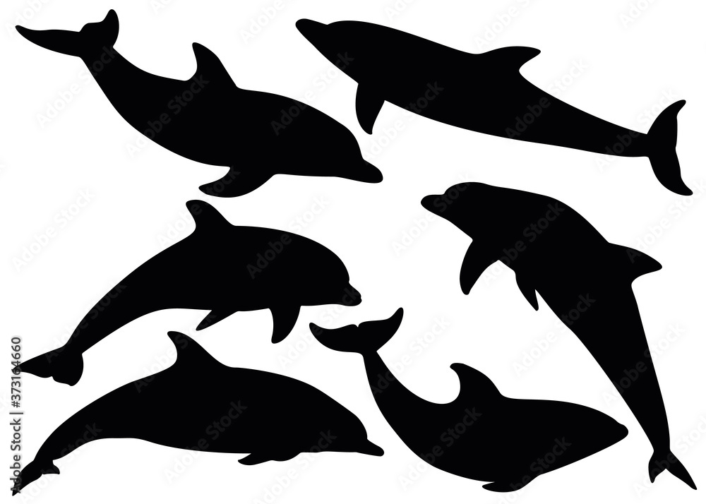 Fototapeta premium Dolphins in different poses. Vector image.