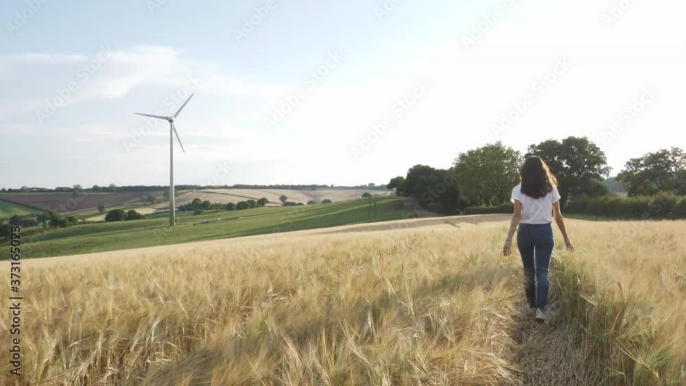 Beautiful woman walking through field of wheat with a wind turbine in the valley Beautiful woman walking through field of wheat with a wind turbine in the valley
