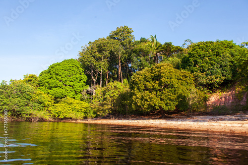 Amazon forest river