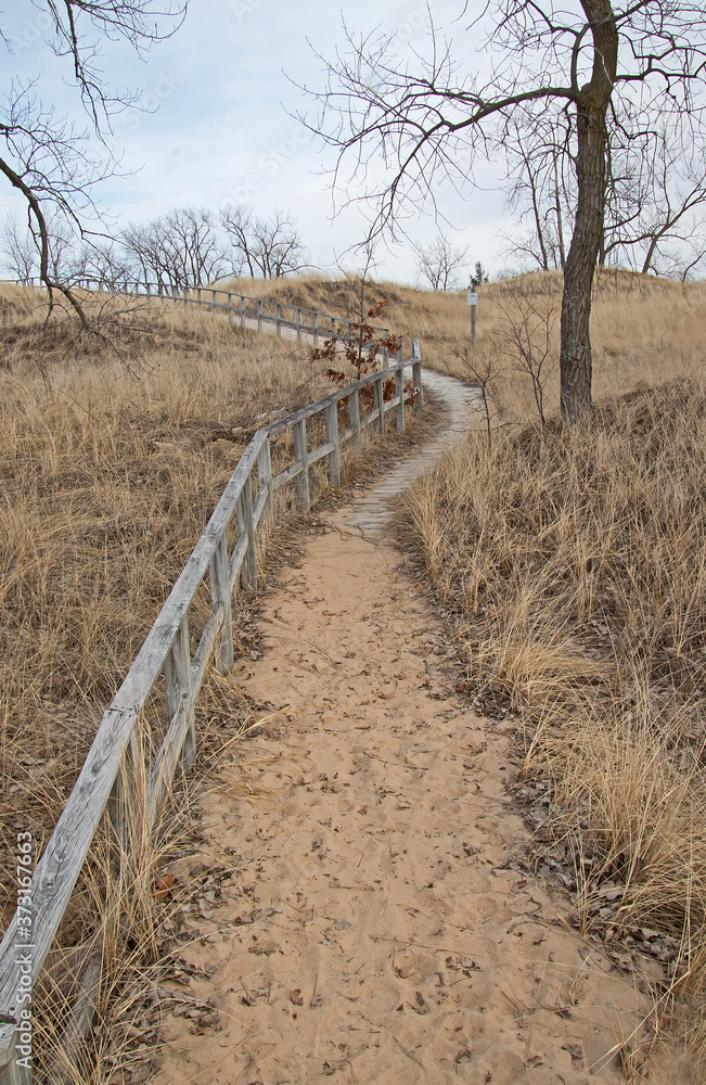 Placid Trail Placid Trail