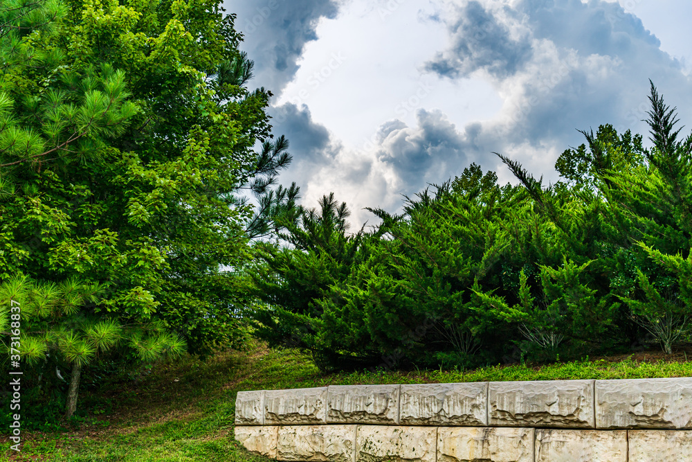 Fototapeta premium Landscape and Clouds