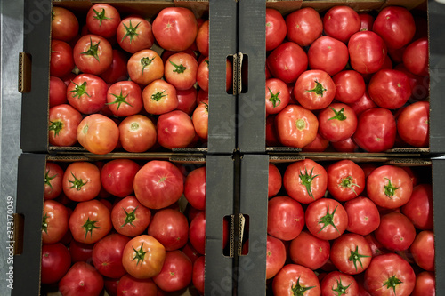 Sorted red tomatoes in a hypermarket warehouse © Yakobchuk Olena