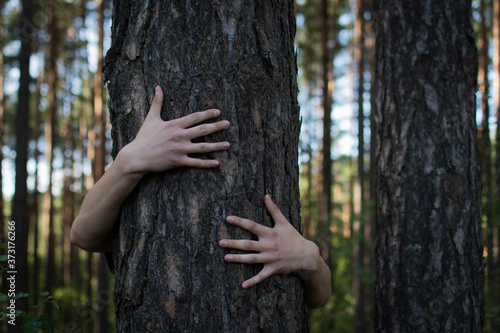 a young man embraces a tree trunk with his arms. ecological concept of hands on a tree trunk