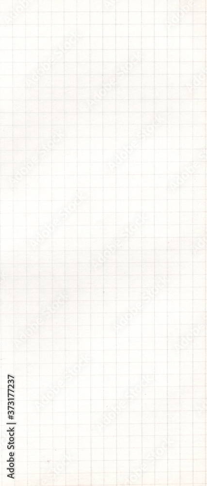 Checkered paper texture. Background from paper in copybook.Smooth cells on paper Checkered paper texture. Background from paper in copybook.Smooth cells on paper