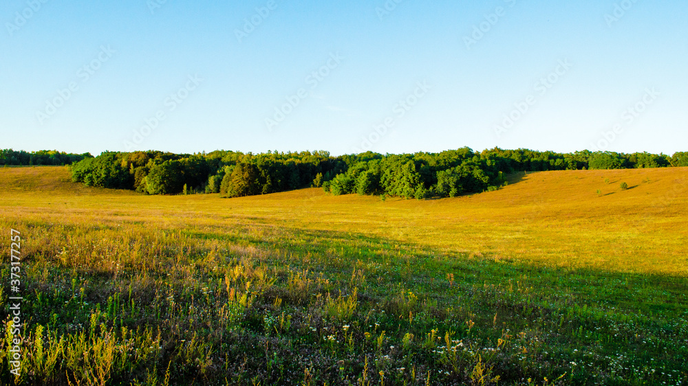 Small hills with trees on the background