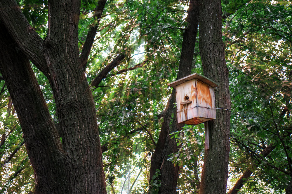 Wooden birdhouse in the forest on the tree