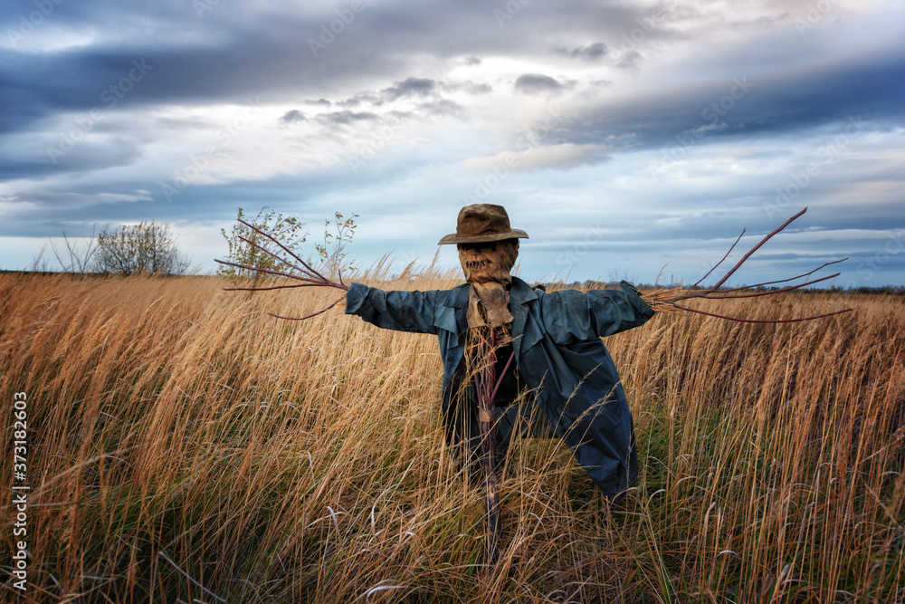 Terrible scarecrow in dark cloak and dirty hat stands alone in autumn field in gloomy weather. Halloween concept Terrible scarecrow in dark cloak and dirty hat stands alone in autumn field in gloomy weather. Halloween concept