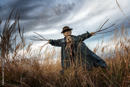 Frighten scarecrow in dark cloak and dirty hat stands alone in a autumn field. Halloween concept