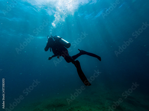 The diver emerges towards the surface of the sea