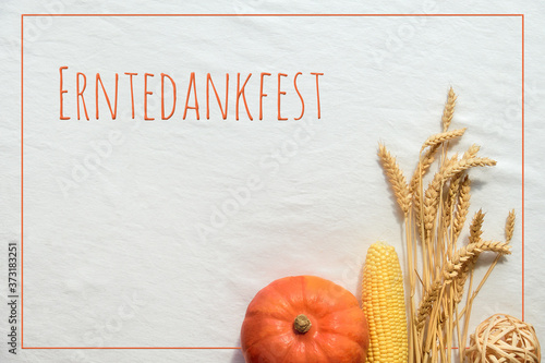 Flat lay with natural harvest Autumn decorations, pumpkin, corn cob and wheat ears on white textile background. Erntedankfest means Thanksgiving in German language. photo