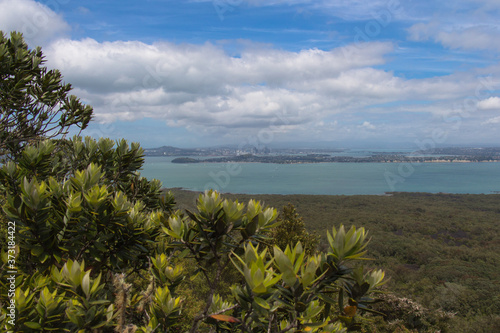 Fototapeta Naklejka Na Ścianę i Meble -  The view of Auckland City from Rangitoto Island, New Zealand.