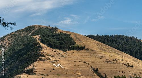The M Mountain for University of Montana in Missoula photo