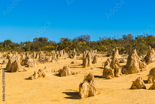 The Pinnacles are limestone formations within Nambung National Park, near the town of Cervantes.