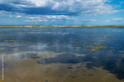 Summer wild nature sea landscape