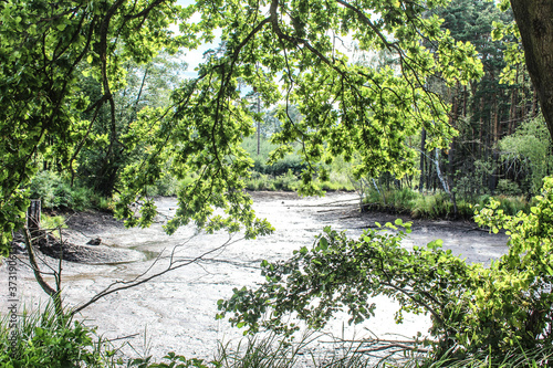 Forest landscape. Gorgeous landscape. Dry lake in the forest. Forest and lake. Background. Texture. photo