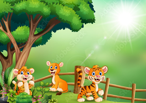 Fototapeta Naklejka Na Ścianę i Meble -  Wild animal cartoon playing at jungle