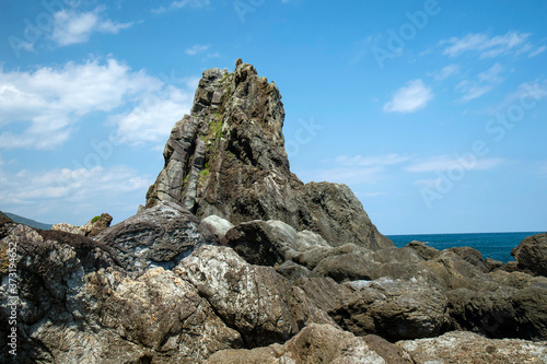 四国 高知県室戸市室戸岬町の乱礁遊歩道のビシャゴ岩