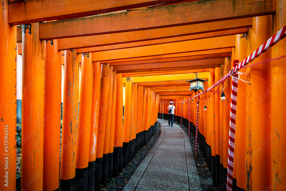 Japan - July , 2019 : Tourist walking along Thousands of Red Torii Gate Tunnel at Fushimi Inari Shrine, One of Most Famous Tourist Destination in Kyoto, Japan Japan - July , 2019 : Tourist walking along Thousands of Red Torii Gate Tunnel at Fushimi Inari Shrine, One of Most Famous Tourist Destination in Kyoto, Japan