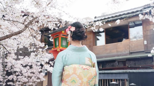 着物の女性　京都観光　桜 photo