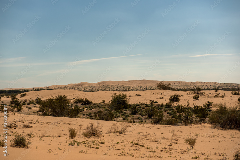 A landscape in the Sonoran Desert, very dry and inhospitable, against blue sky in Southern California, USA