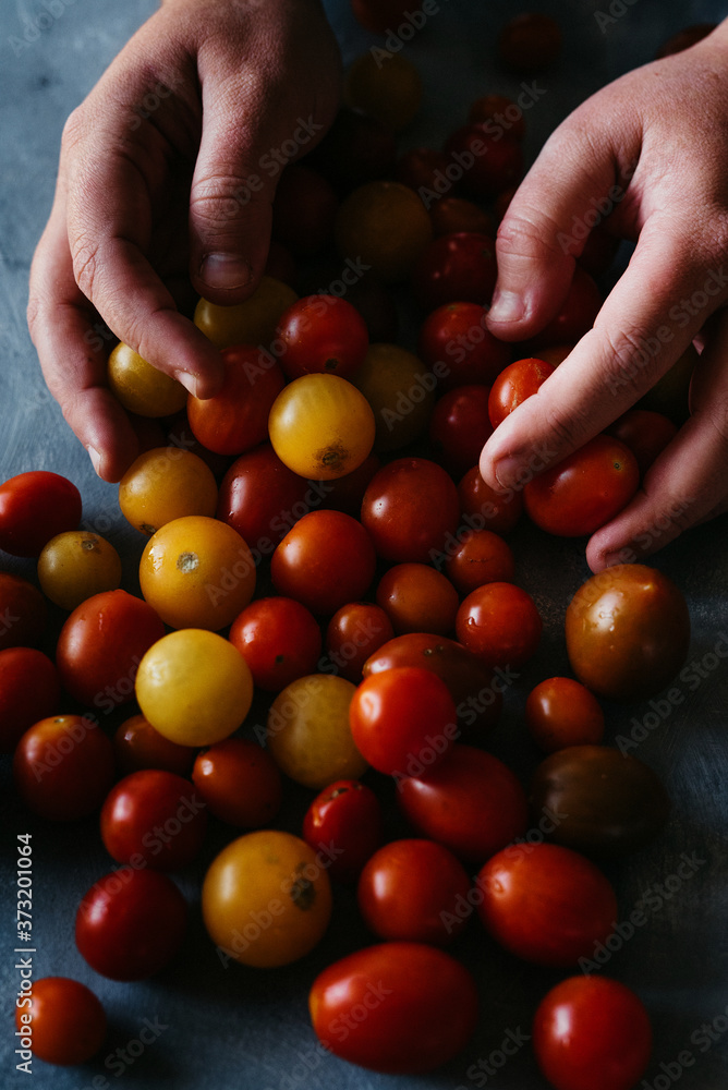 Tomatoes Tomatoes