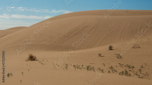 Southern California Sand Dunes on blue sky and cloudless day, Imperial Sand Dues