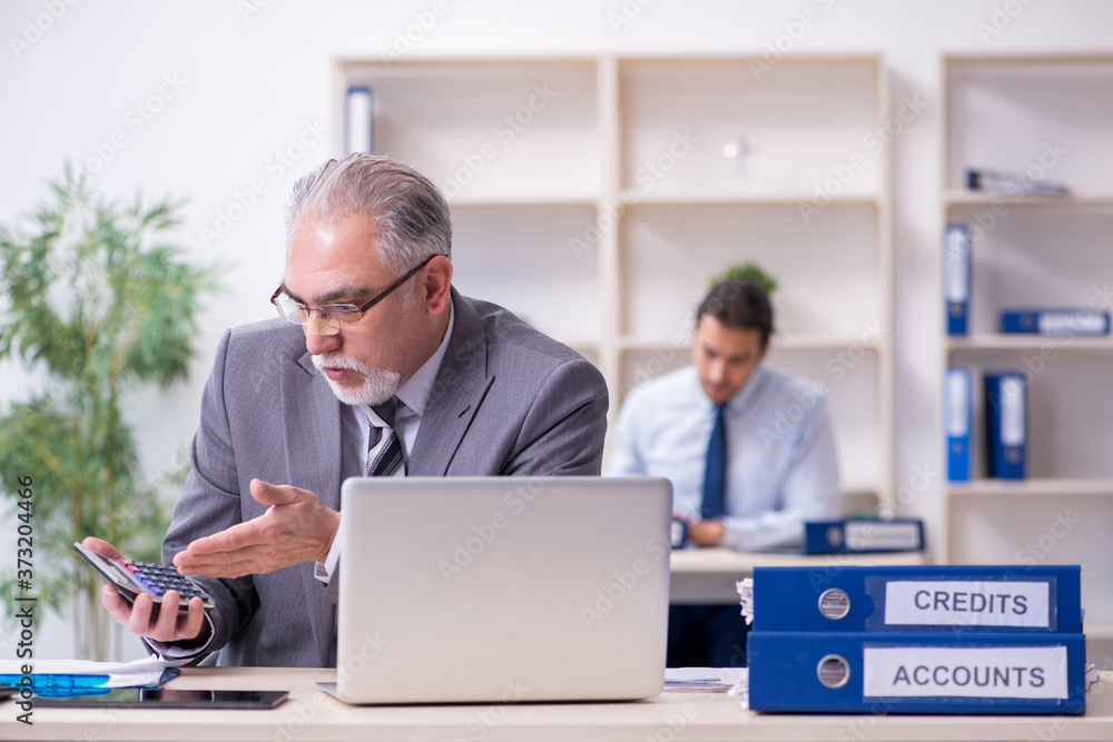 Obraz premium Two accountants working in the office