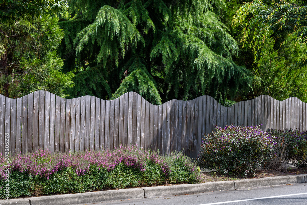 Fototapeta premium Curve topped rustic wood fence with plants blooming in the foreground and evergreen trees in the background 