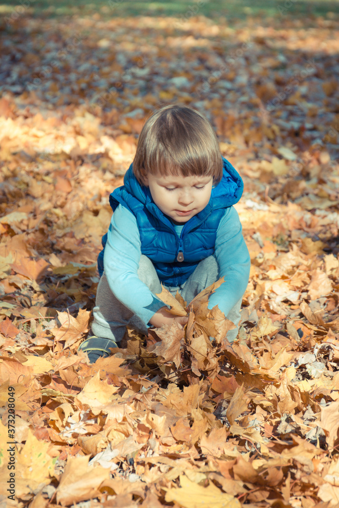Preschooler playing with leaves in autumnal park. Happy childhood concept Preschooler playing with leaves in autumnal park. Happy childhood concept
