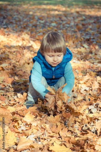Preschooler playing with leaves in autumnal park. Happy childhood concept