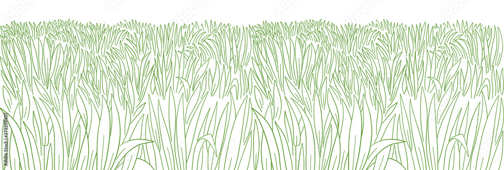 High thick green grass meadow. Lawn growth. Hand drawn sketch. Seamless pattern horizontal banner background. Vector contour line.