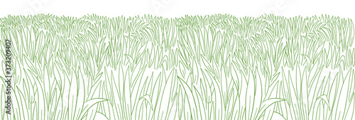 High thick green grass meadow. Lawn growth. Hand drawn sketch. Seamless pattern horizontal banner background. Vector contour line.