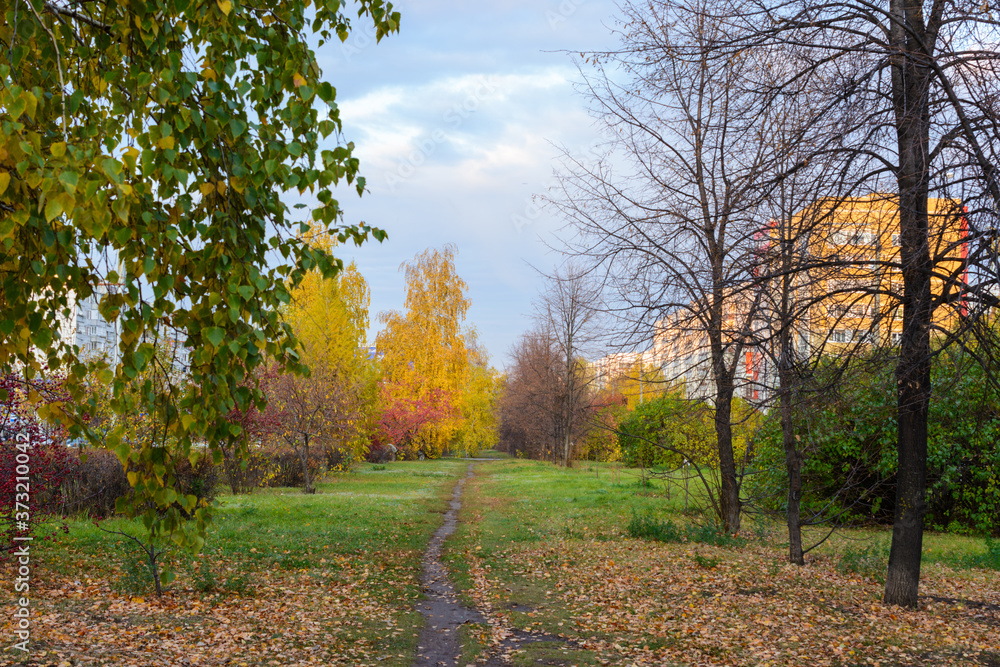 The city street footpath strewn with fallen yellow, orange and red leaves in autumn. The city street footpath strewn with fallen yellow, orange and red leaves in autumn.