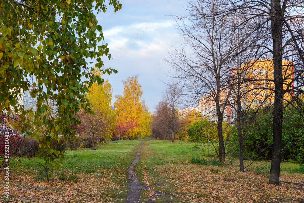 The city street footpath strewn with fallen yellow, orange and red leaves in autumn.