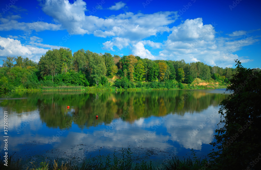 Obraz premium Summer forest river reflections background
