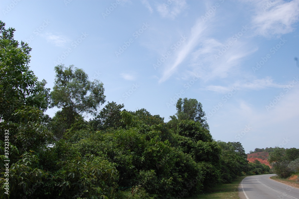 Obraz premium 東南アジアのマレーシアの田舎にある熱帯雨林沿いの幹線道路の風景と青い空